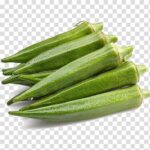 Vegi