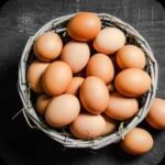 EGG